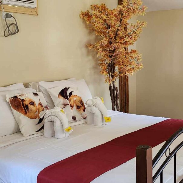 Home 51 gem crystal water resort room