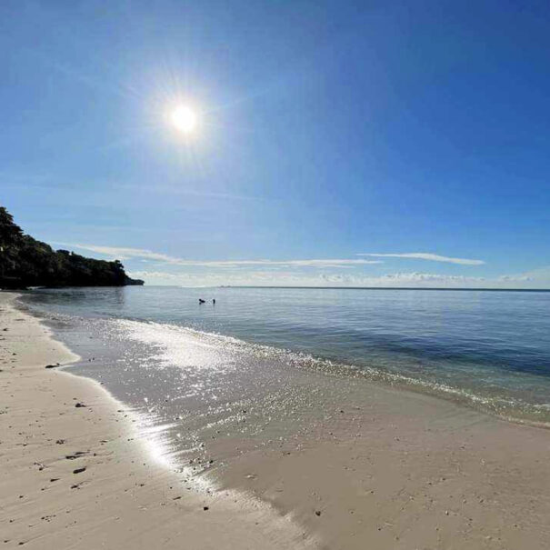 Home 48 homepage image 1.2 sunbathe